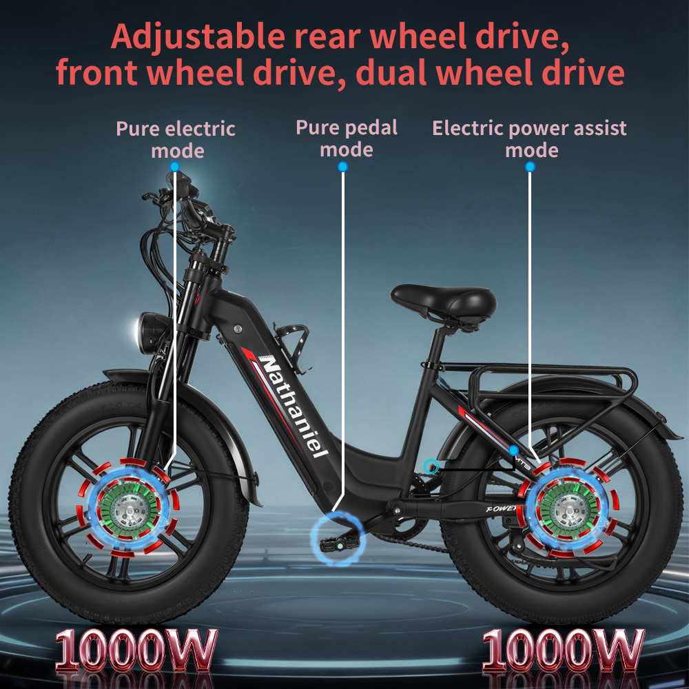 Adult Electric Bicycle Nathani - Dual Motor Ebike Kit 2000W ulasan dan harga